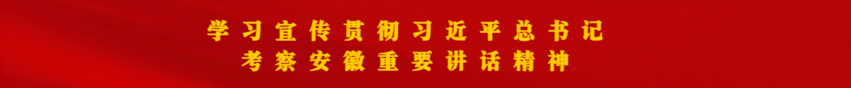 学习宣传贯彻习近平总书记考察安徽重要讲话精神